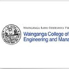 Wainganga College